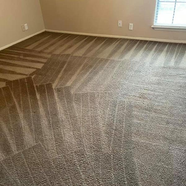 Combat cleanings carpet cleaning results